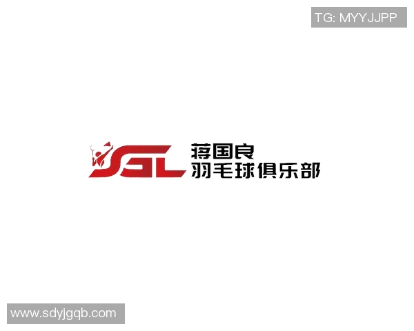 西安羽毛球队与杭州羽毛球队实力对比赛后分析与总结